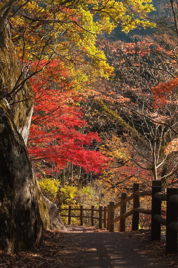 Osaka Ya Nambaホステル エクステリア 写真
